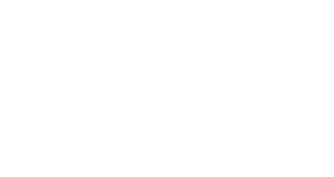 alber marketing